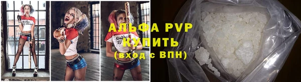 ECSTASY Богородицк