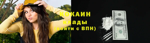 Альфа ПВП Богородск