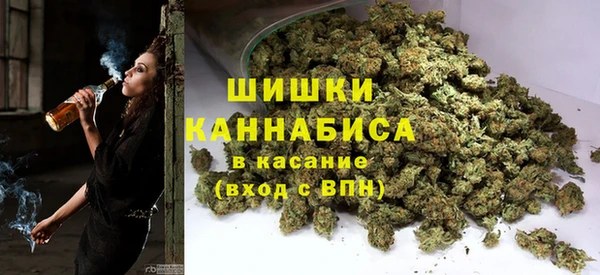 Альфа ПВП Богородск
