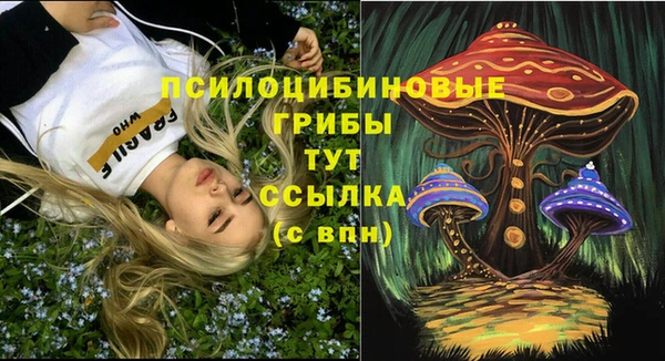 ECSTASY Богородицк