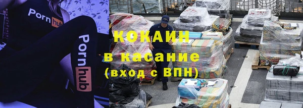 ECSTASY Богородицк