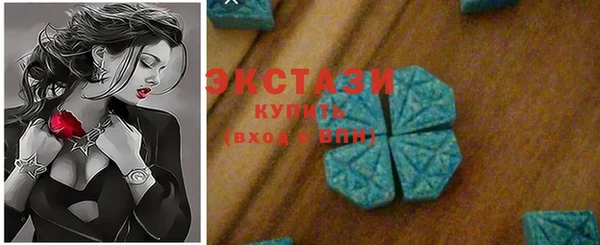 ECSTASY Богородицк